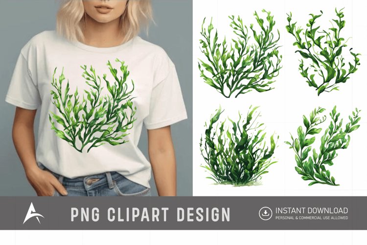 Seaweed Illustration Image 8