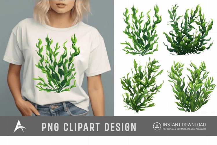 Seaweed Illustration Image 4
