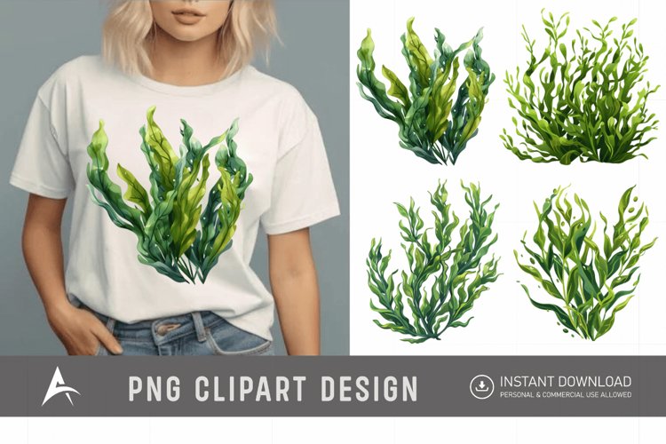 Seaweed Illustration Image 9