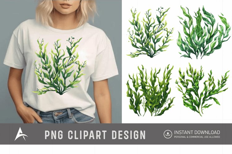 Seaweed Illustration Image 10