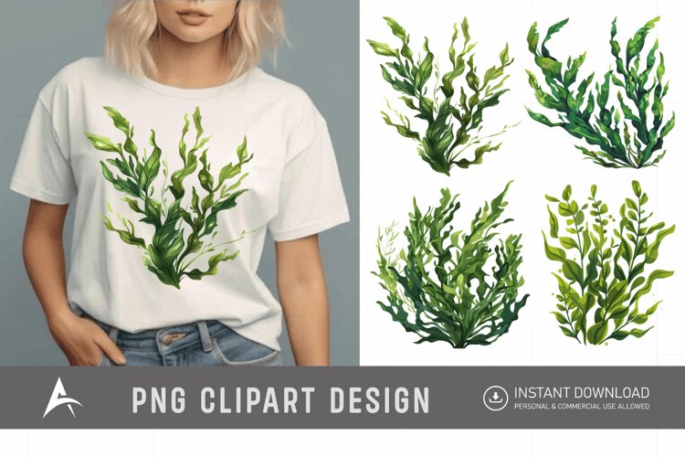 Seaweed Illustration Image 2
