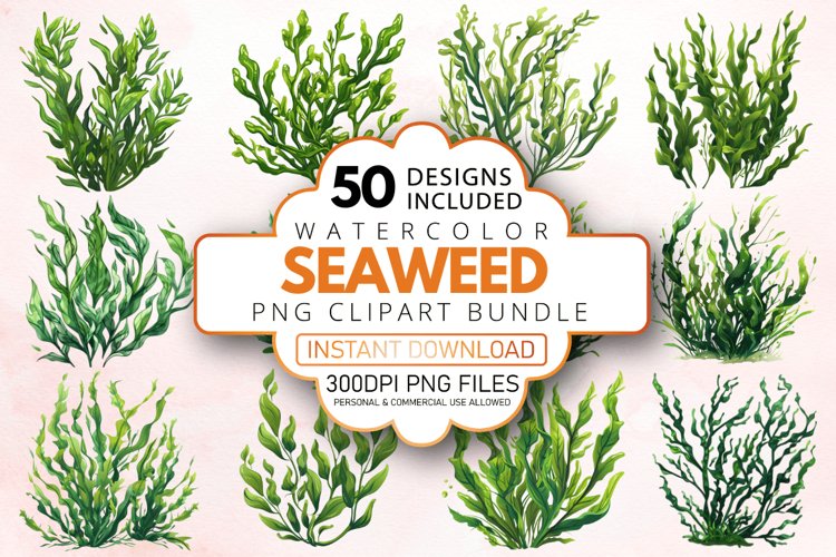 Seaweed Illustration Image 12