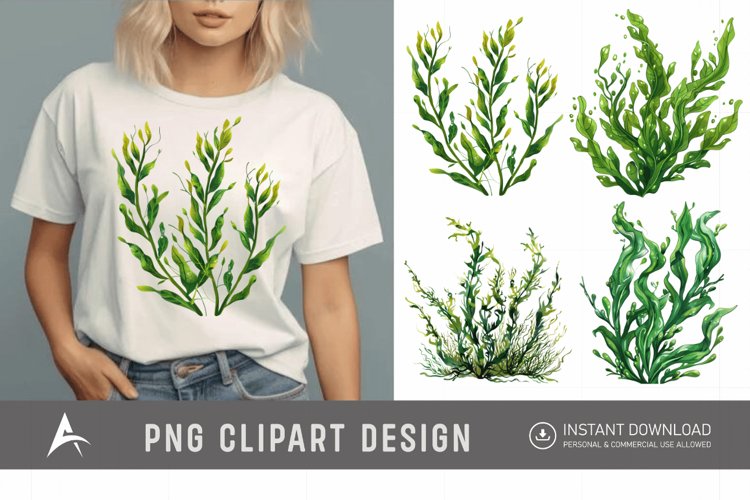 Seaweed Illustration Image 3