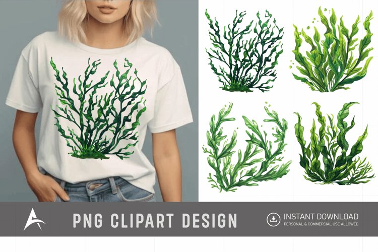 Seaweed Illustration Image 7