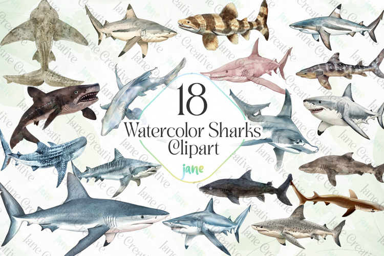 Sharks Clipart Image 2