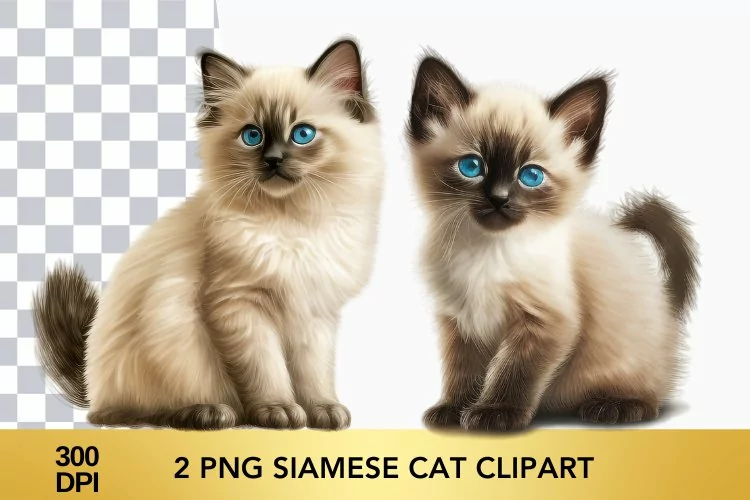 2 png Watercolor Siamese Cat Clipart