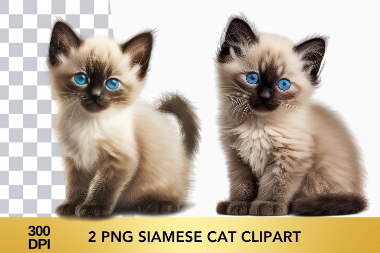 Cute Cat Png Image 22