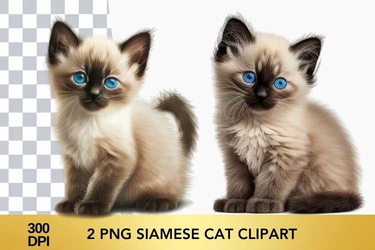 2 png Watercolor Siamese Cat Clipart