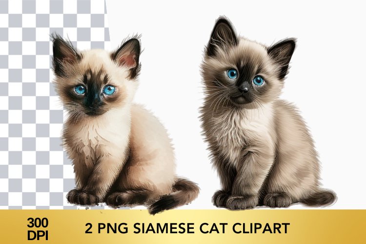 Cute Cat Png Image 13