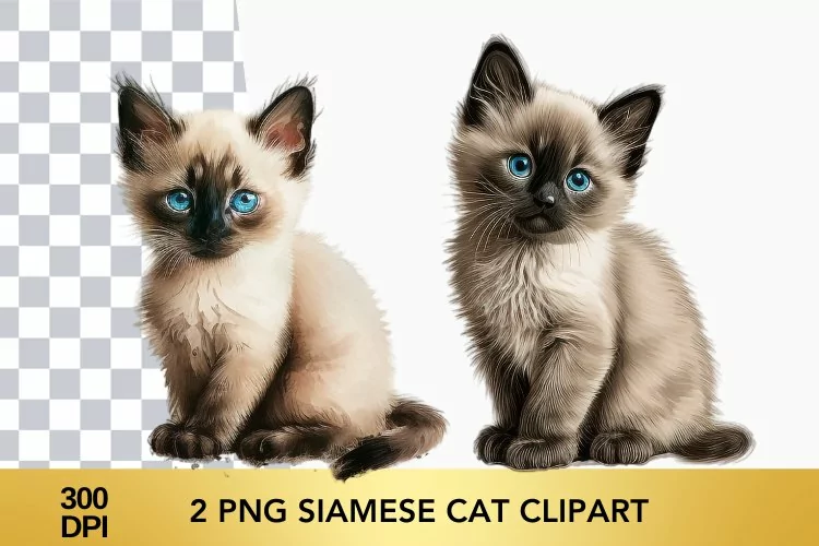 2 png Watercolor Siamese Cat Clipart