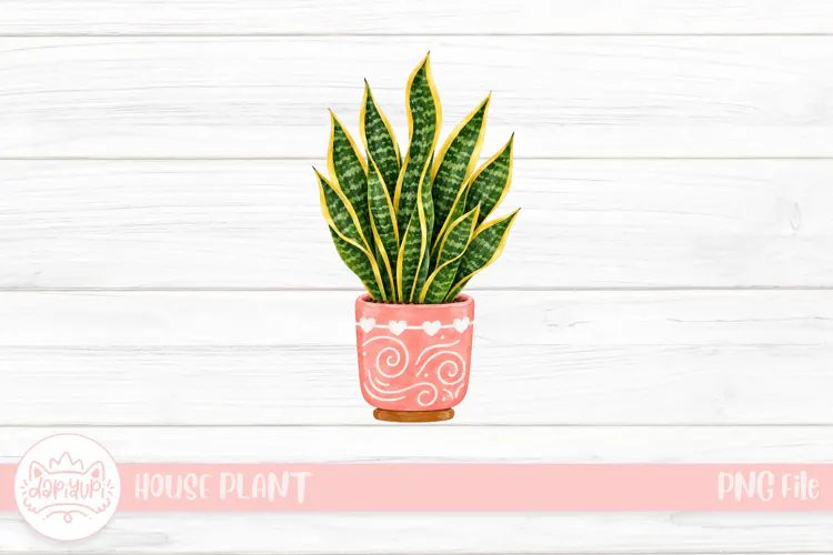 Watercolor Snake Plant in Pink Pot
