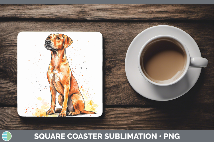 Watercolor Splash Dogs 03 Rhodesian Ridgeback Square Coaster