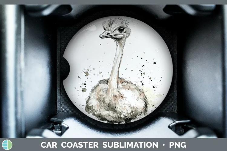 Watercolor Splash Farm Ostrich Car Coaster Sublimation Desi