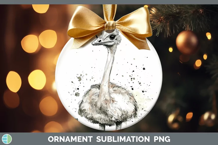 Watercolor Splash Farm Ostrich Ornament Sublimation Bauble D