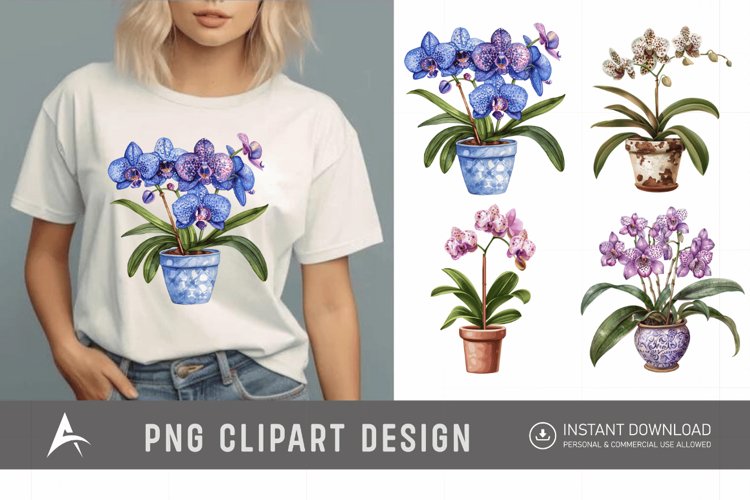 Orchid Illustration Image 13
