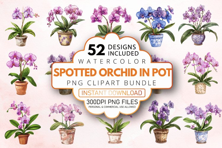 Orchid Illustration Image 16