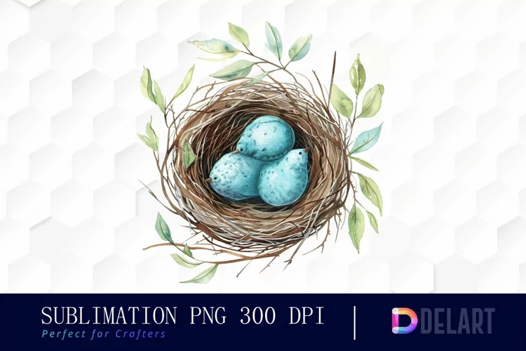 Spring Bird Nest Illustration Clipart