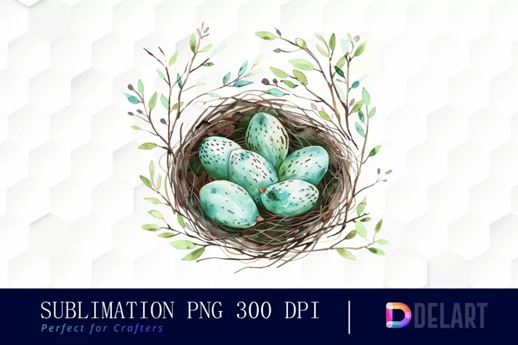 Spring Bird Nest Watercolor Clipart