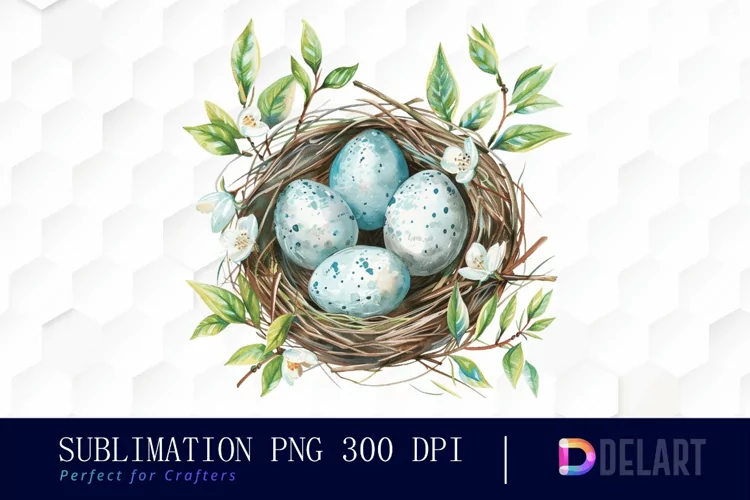 Spring Bird Nest Illustration Clipart