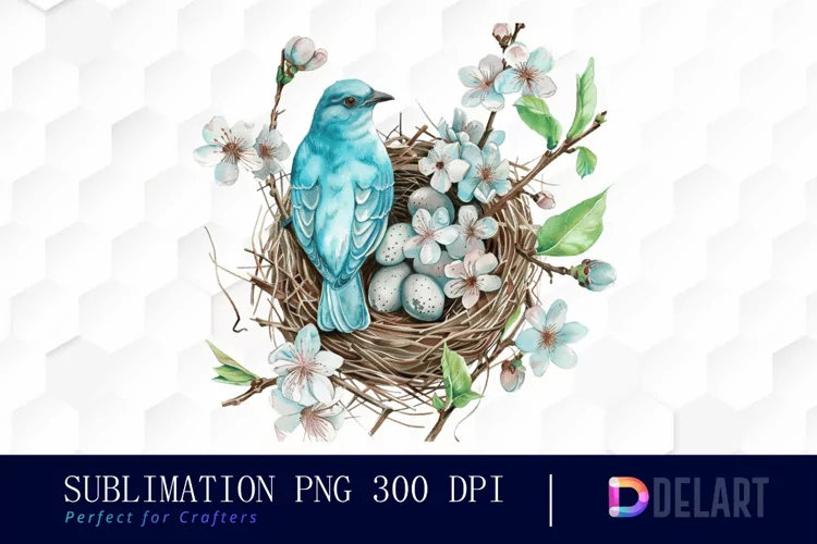 Spring Bird Nest Illustration Clipart