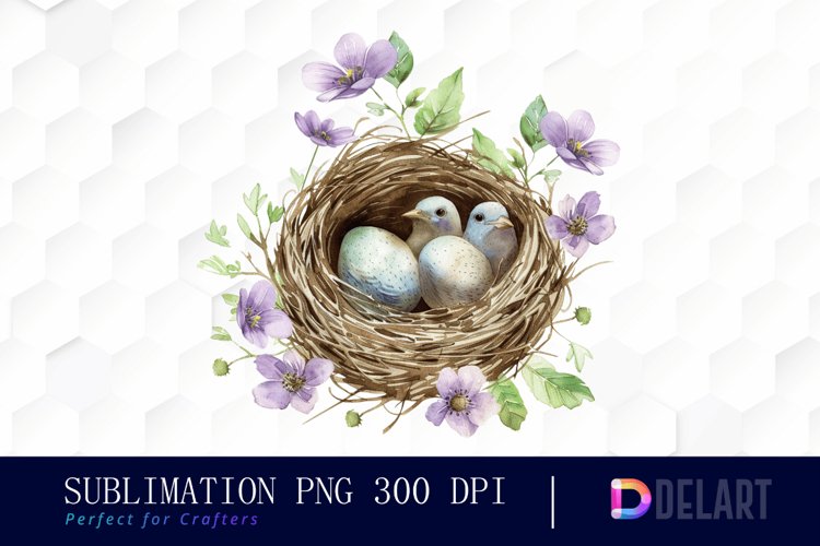 Spring Bird Nest Watercolor Clipart