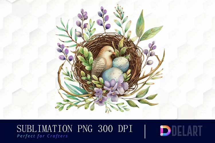 Spring Bird Nest Illustration Clipart