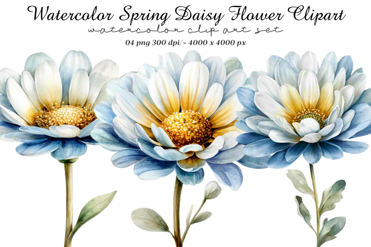 Watercolor Spring Daisy Flower Clipart