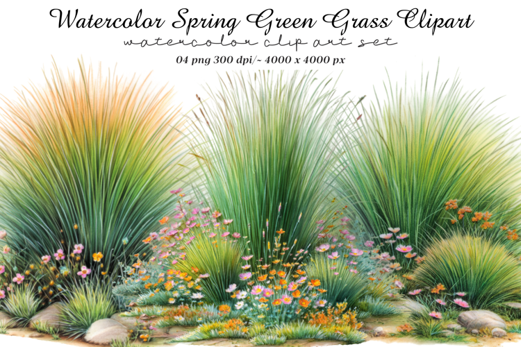 Watercolor Spring Green Grass Clipart