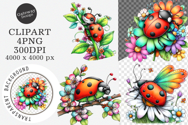 Watercolor Spring Ladybug Clipart - Spring Ladybug Png