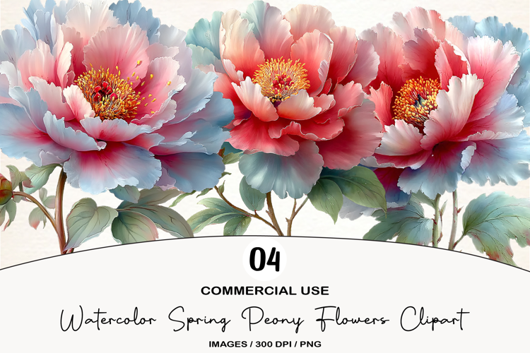 Watercolor Spring Peony Flowers Clipart