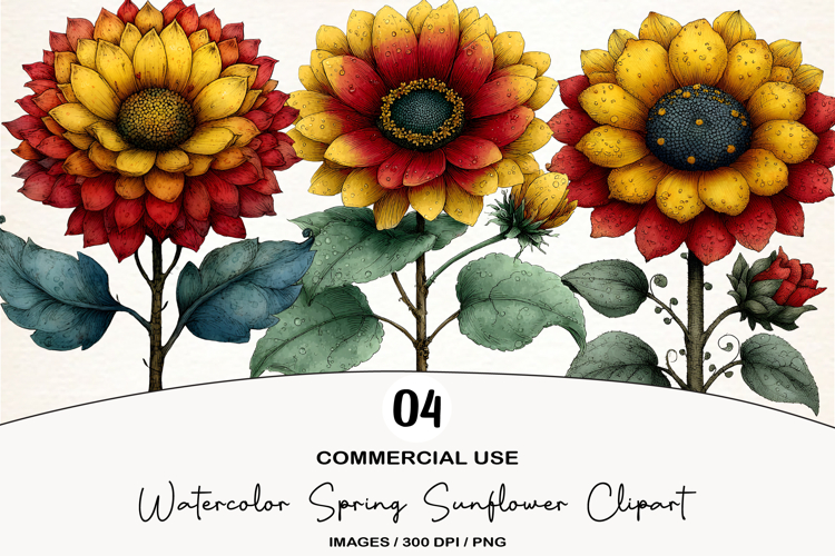 Watercolor Spring Sunflower Clipart