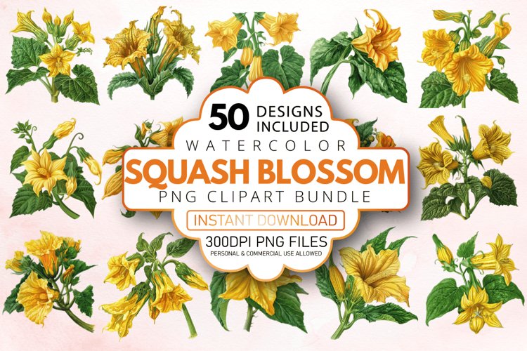 Squash Clipart Image 11