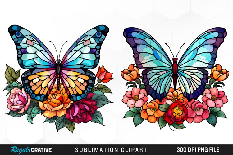 Butterfly Graphic Image 11