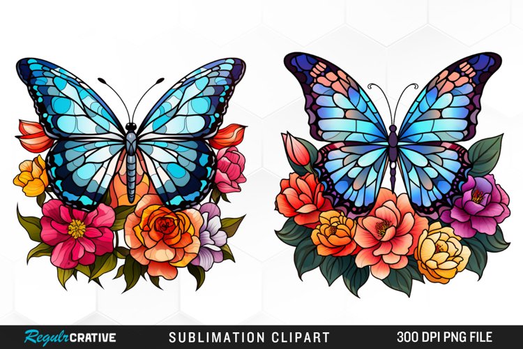 Butterfly Graphic Image 13