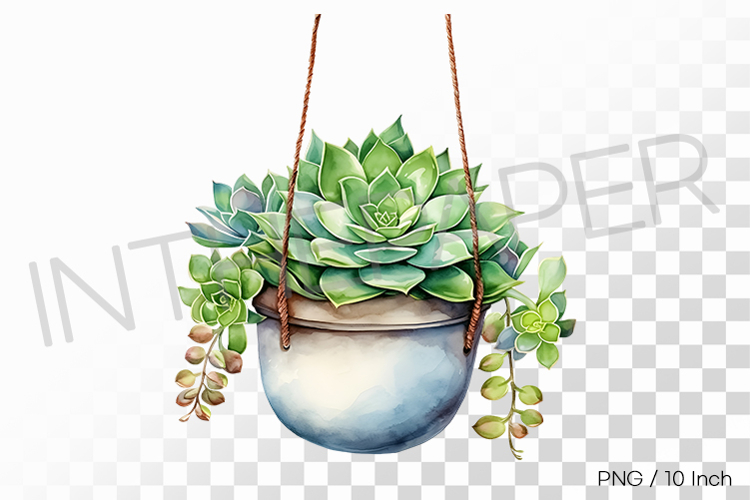 Hanging Plant Clipart Image 6
