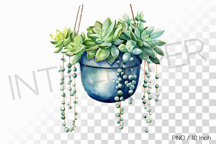 Vine Clipart Image 14
