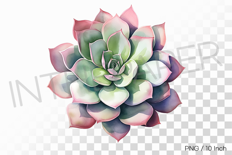 Watercolor Plant Png Image 12