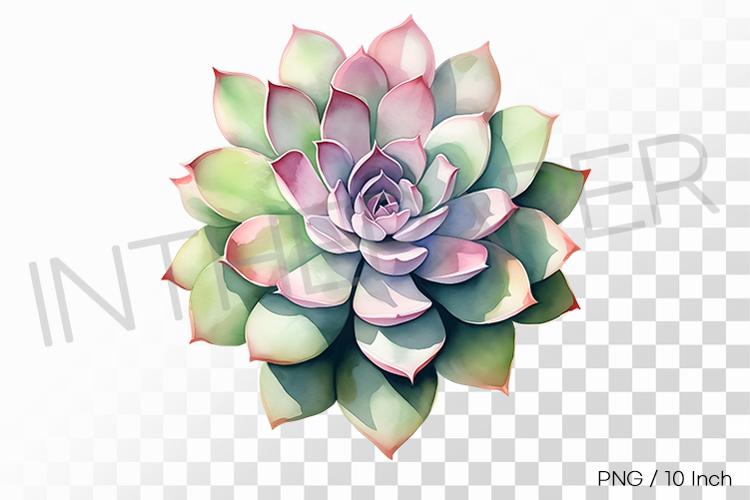 Clean Clipart Image 21