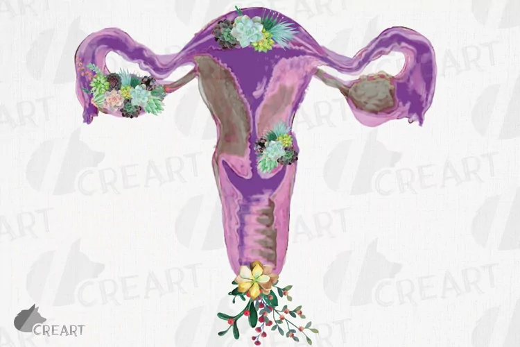 Watercolour Women womb, cervix, vagina, ovary flower design.