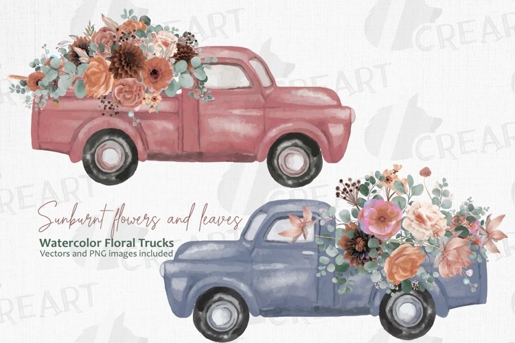 Summer blush sunburnt flower and eucalyptus pickup trucks