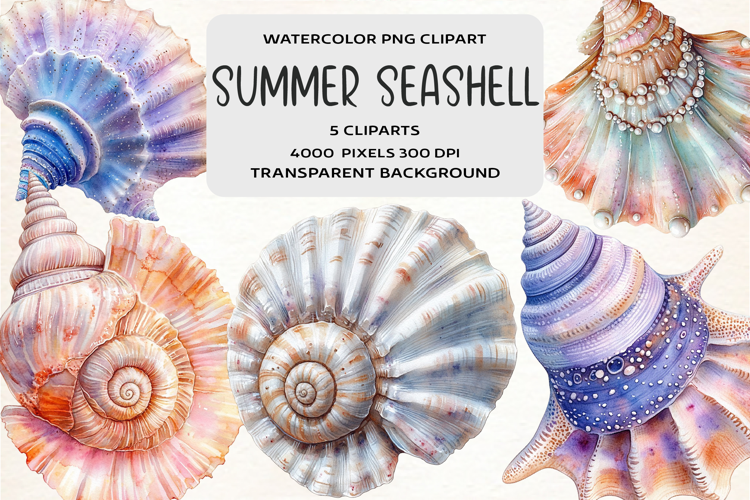 Watercolor Summer Seashell Clipart