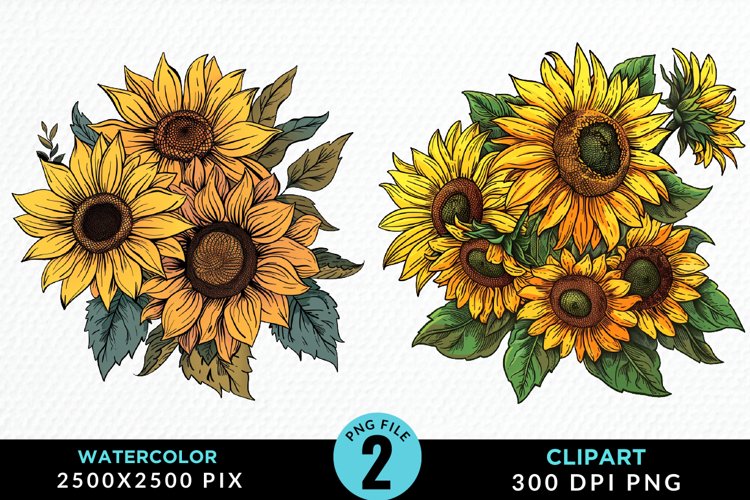 Watercolor Sunflower Illustration Clipart