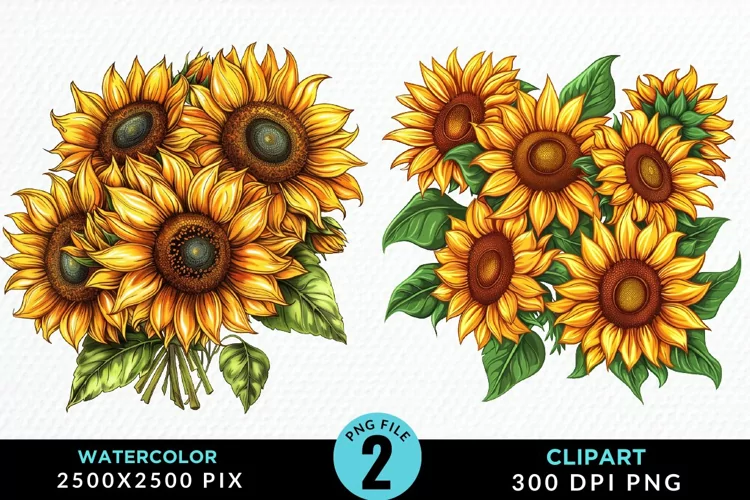 Watercolor Sunflower Illustration Clipart