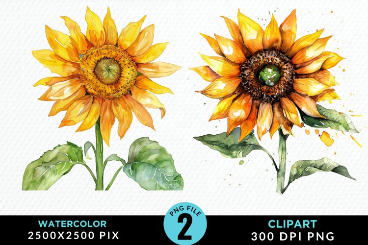 Arrangements Clipart Image 21