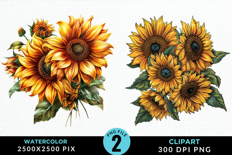 Watercolor Sunflower Exquisite Clipart