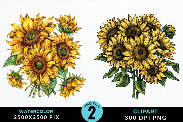 Watercolor Sunflower Illustration Clipart