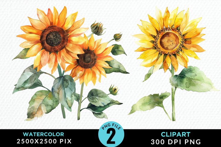 Sunflower Graphic Image 11