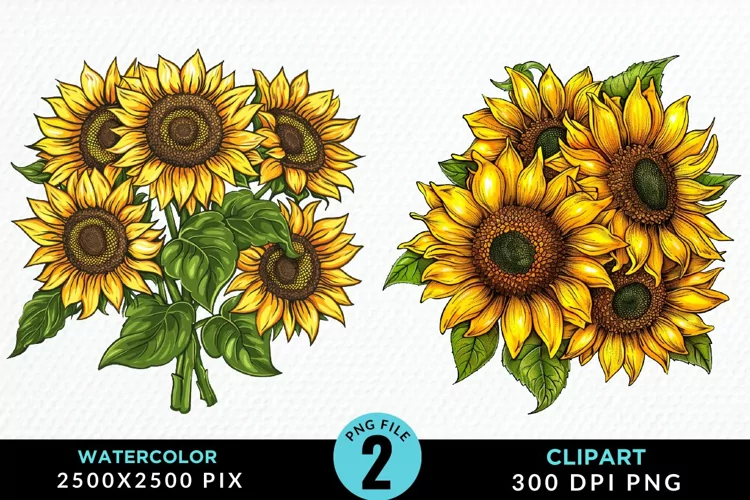 Watercolor Sunflower Illustration Clipart