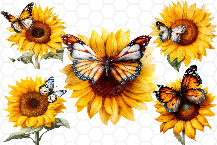 Sunflower PNG Image 22