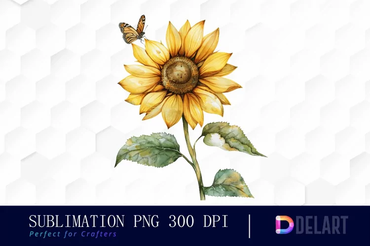 Sunflower With Butterfly Illustration Clipart